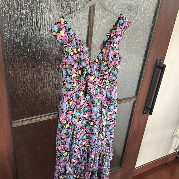 Amur EVITA Multicolor Floral Silk Chiffon Ruffle Maxi Dress Size 12 - Picture 9 of 14